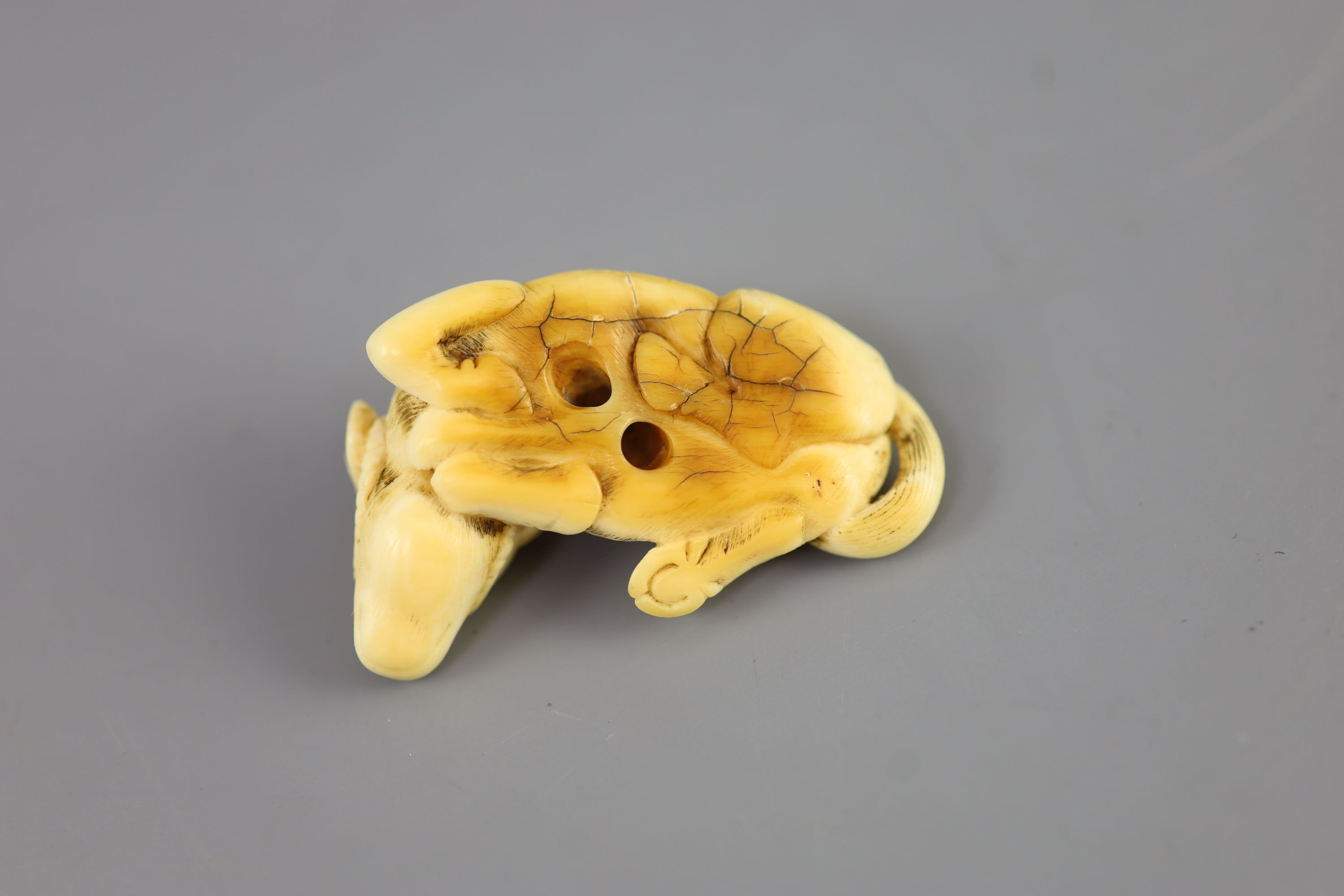 Manner of Tomotada (late 18th - early 19th century), a Japanese ivory netsuke of a recumbent ox, 5.4cm